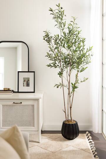 Kate and Laurel 7ft. Oliveira Faux Olive Tree with Claudel Scalloped Planter